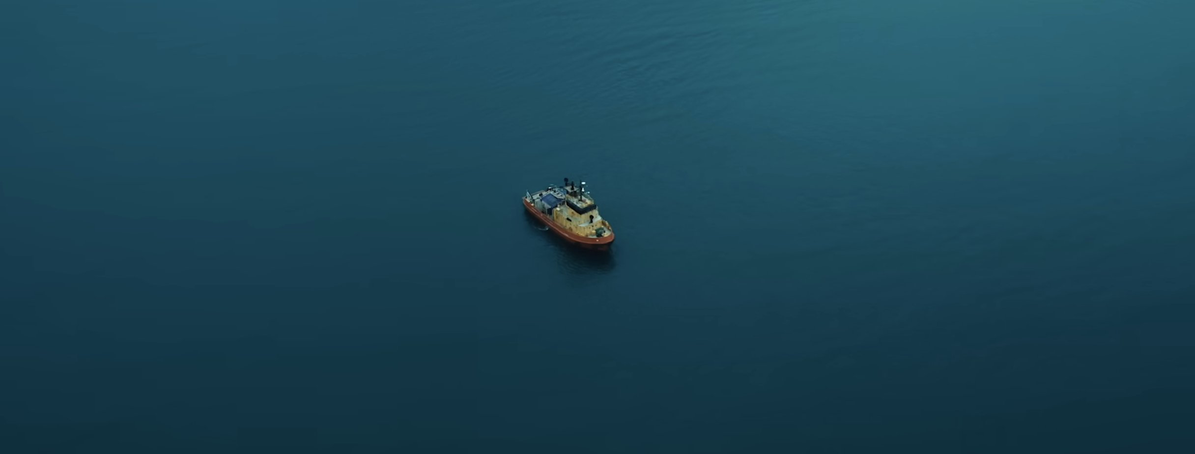 A GREAT SHARK EXPERIENCE